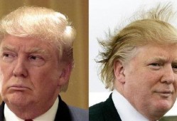 特朗普管家爆料视频大全,独家爆料视频大全幕后真相